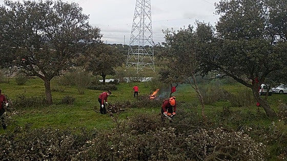 Destinan 156.569 euros a tres naves agrícolas en la finca municipal Dehesa Valdeobispo