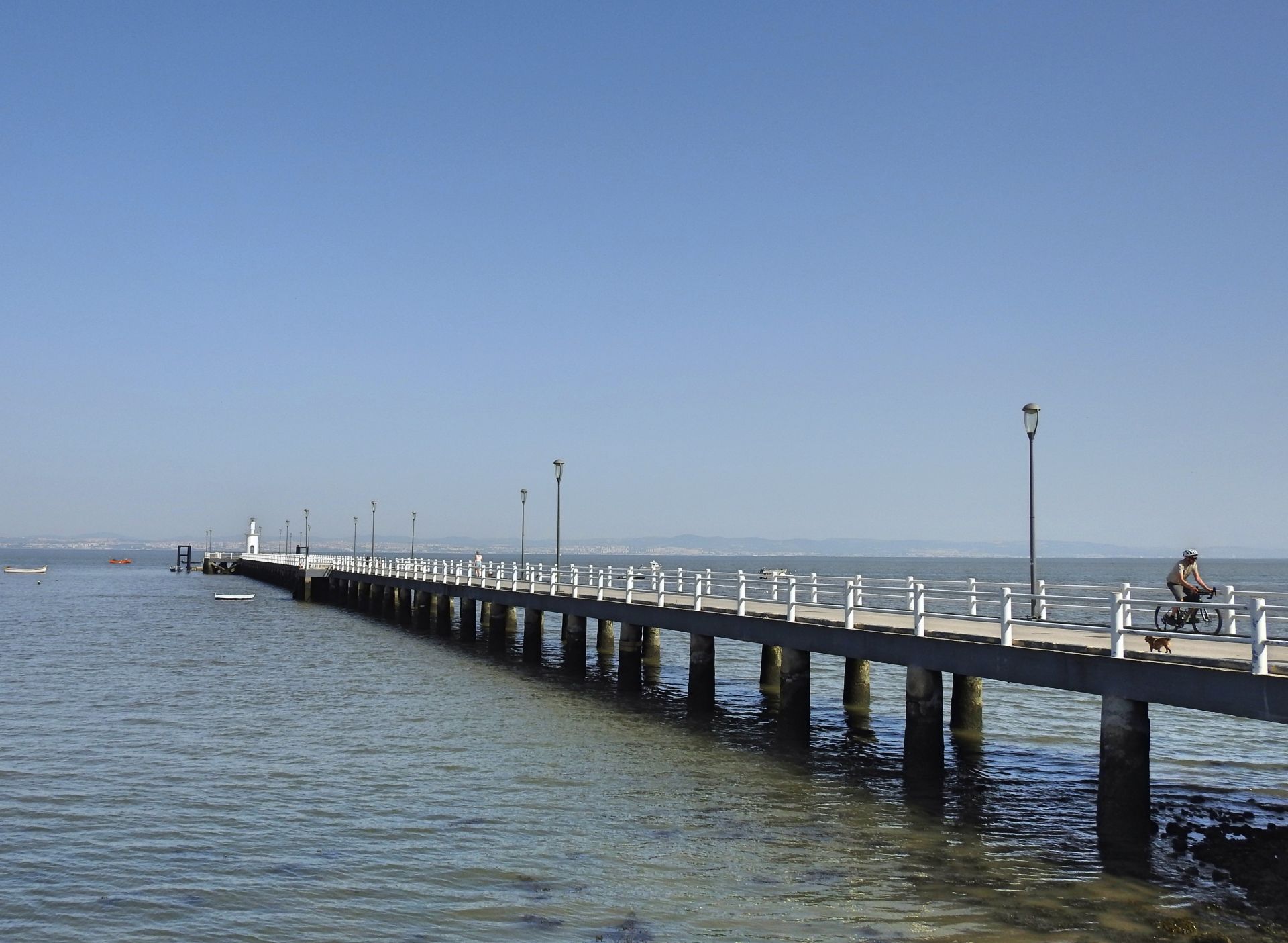 Muelle