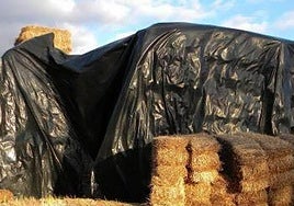 Imagen de archivo de pacas de paja en una finca extremeña.