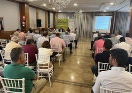 Cooperativas Agro-Alimentarias Extremadura celebró ayer su asamblea anual en Mérida.