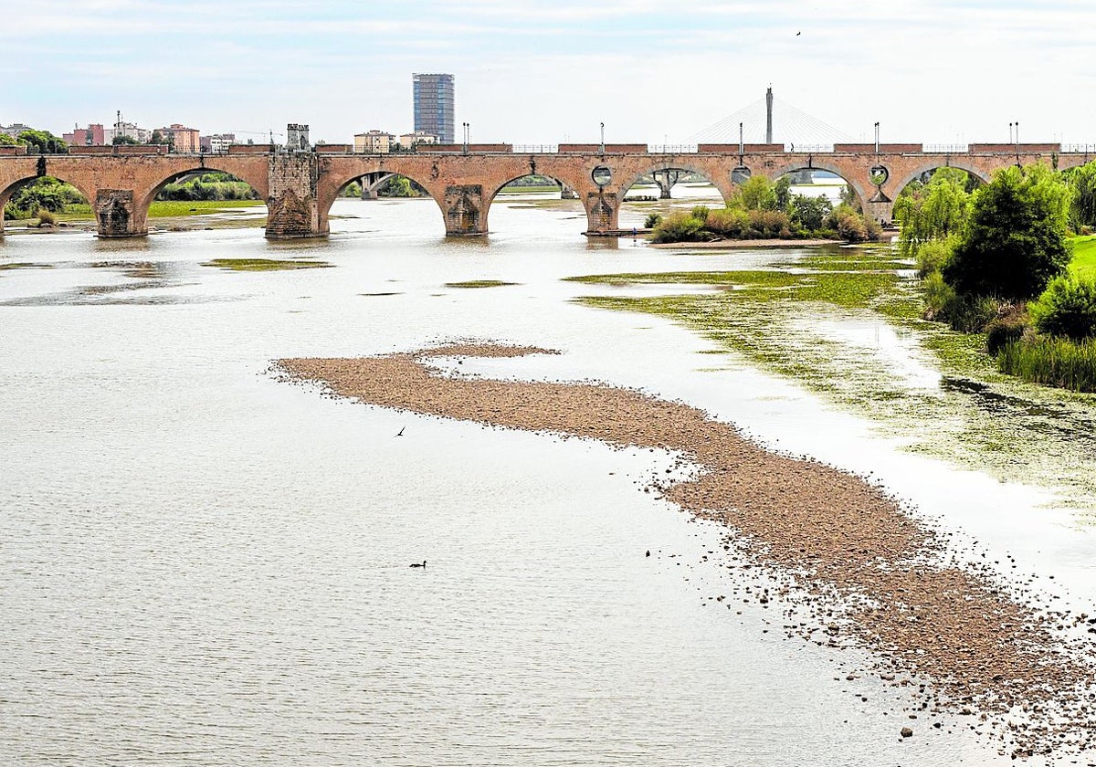 El Guadiana recuperará su nivel de agua en Badajoz las próximas semanas