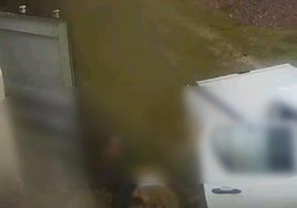 El antiguo trabajador fue capatado por las cámaras.