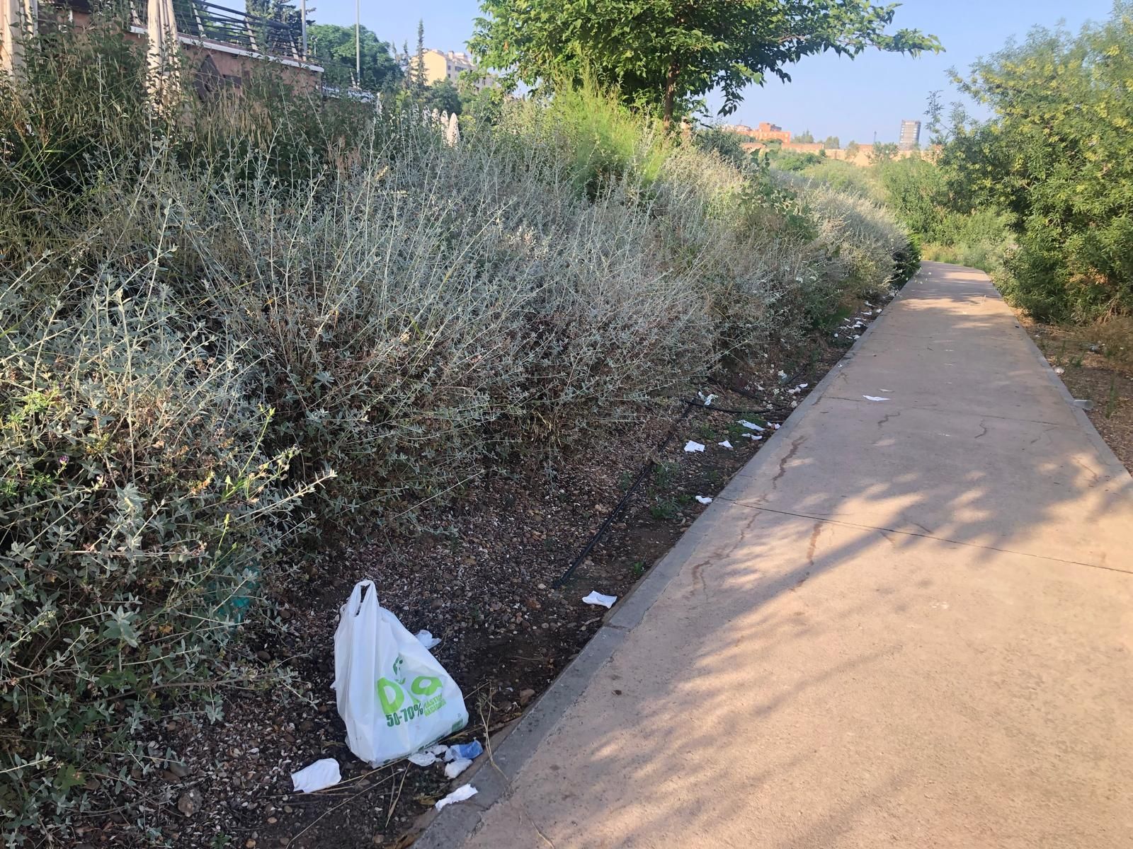 Así amanece el entorno del río Guadiana tras el revuelo de Los Palomos