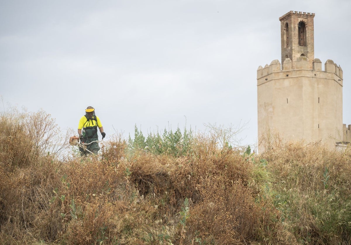 Un operario desbrozando la parcela del Campillo.