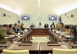 Comisión sobre el regadío de Tierra de Barros celebrada este miércoles en la Asamblea.