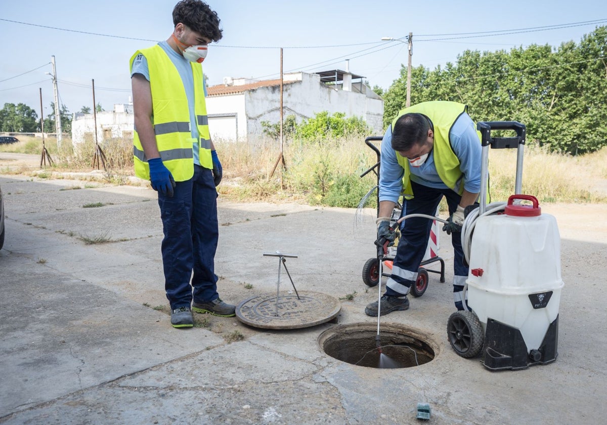 La fumigación se realiza alcantarilla a alcantarilla para asegurar que sea efectiva.