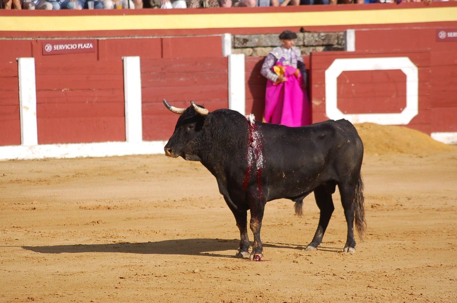 Fotos | Así fue la carrida de toros donde Diego Ventura y Leonardo Hernández salieron a hombros