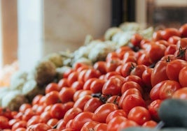 El huerto de Cáceres que nutre a los nuevos supermercados 'normales': así están cambiando nuestra forma de comprar