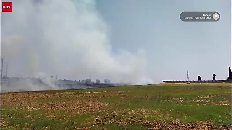 Primer incendio de pastos secos junto a la barriada del Cerro del Viento (Badajoz)