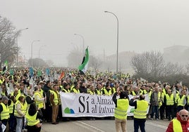 Manifestación por la continuidad de la planta extremeña celebrada el pasado enero.