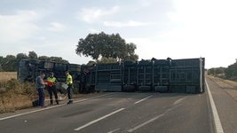 Un camión vuelca en la carretera que une Cáceres con Badajoz