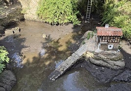 Las charcas de los Pinos presentan un aspecto poco usual.