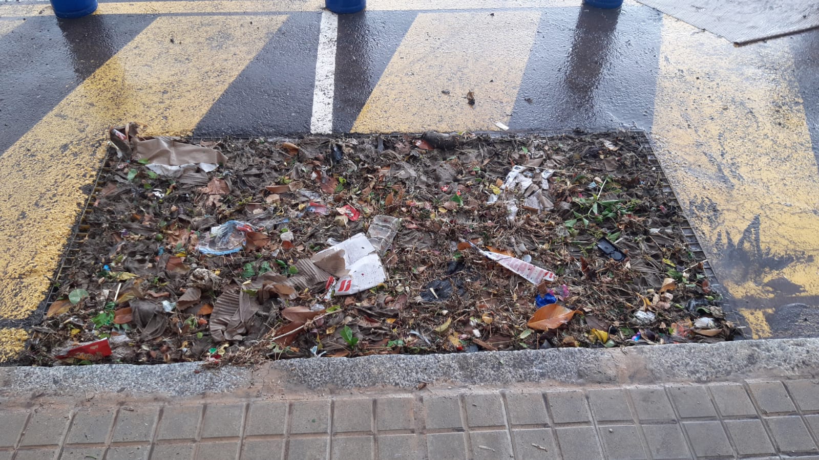 Fotos | Así ha quedado Los Santos de Maimona tras la tormenta de agua y granizo