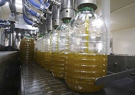 Extremadura vendió cerca de 65 millones de euros de aceite en los mercados internacionales entre enero y marzo de este año.