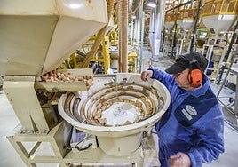 El corcho es el producto más exportado desde Extremadura a Estados Unidos.