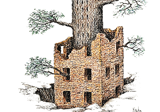 Fernando Krahn, la curiosidad que ilumina