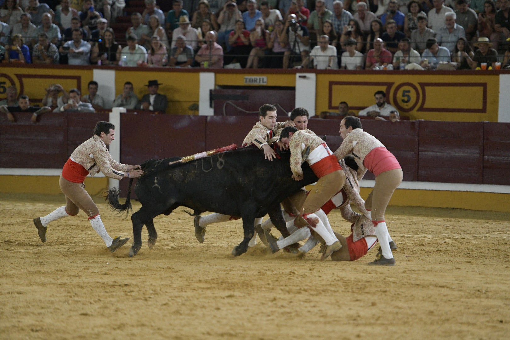 Fotos | Las mejores imágenes de la primera corrida de toros de la feria de San Juan de Badajoz 2025