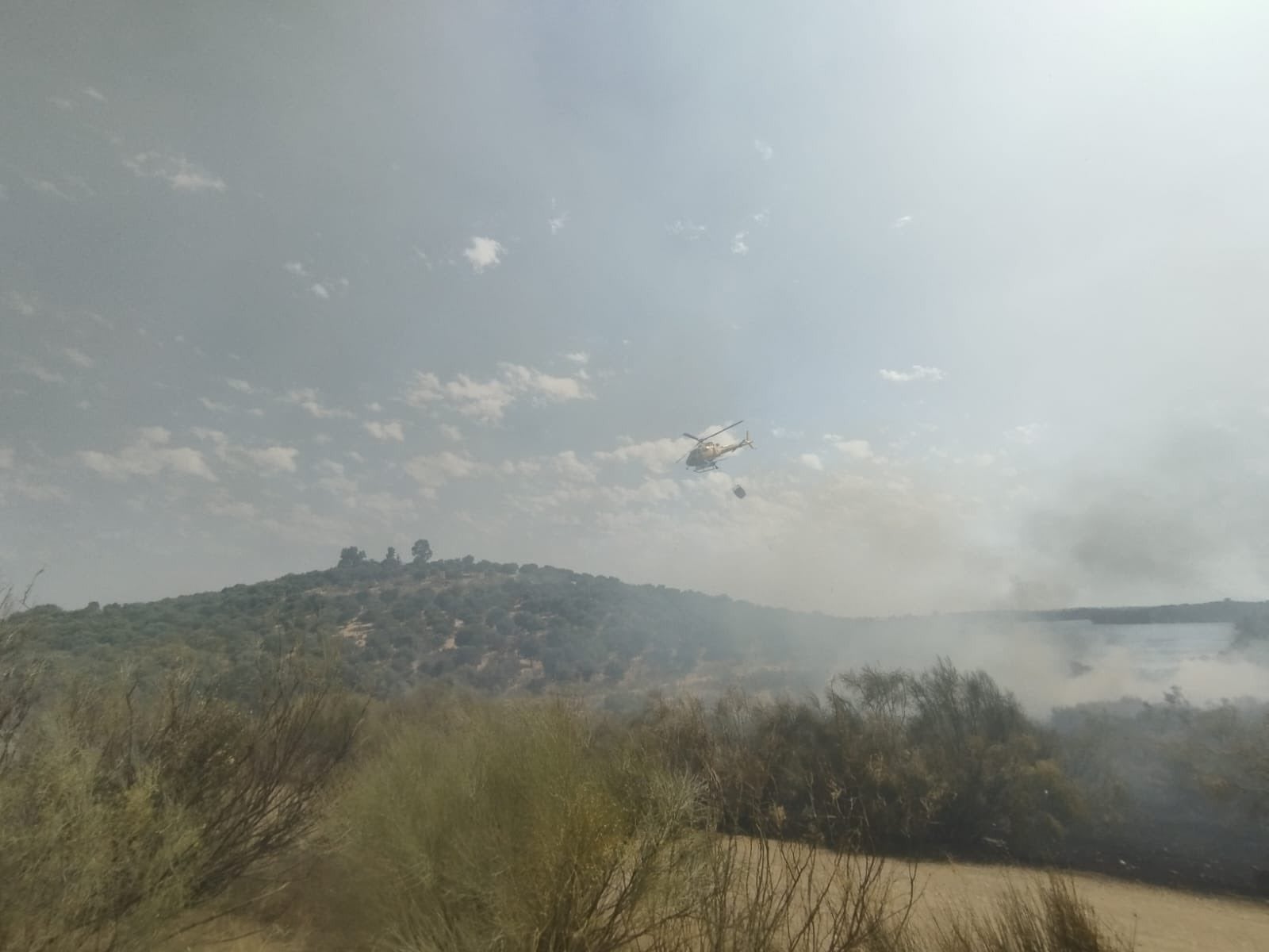 Humo producido por el incendio de Navalvillar de Pela.