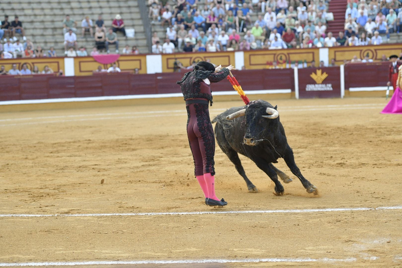 Imágenes de la novillada de la Feria de San Juan de Badajoz