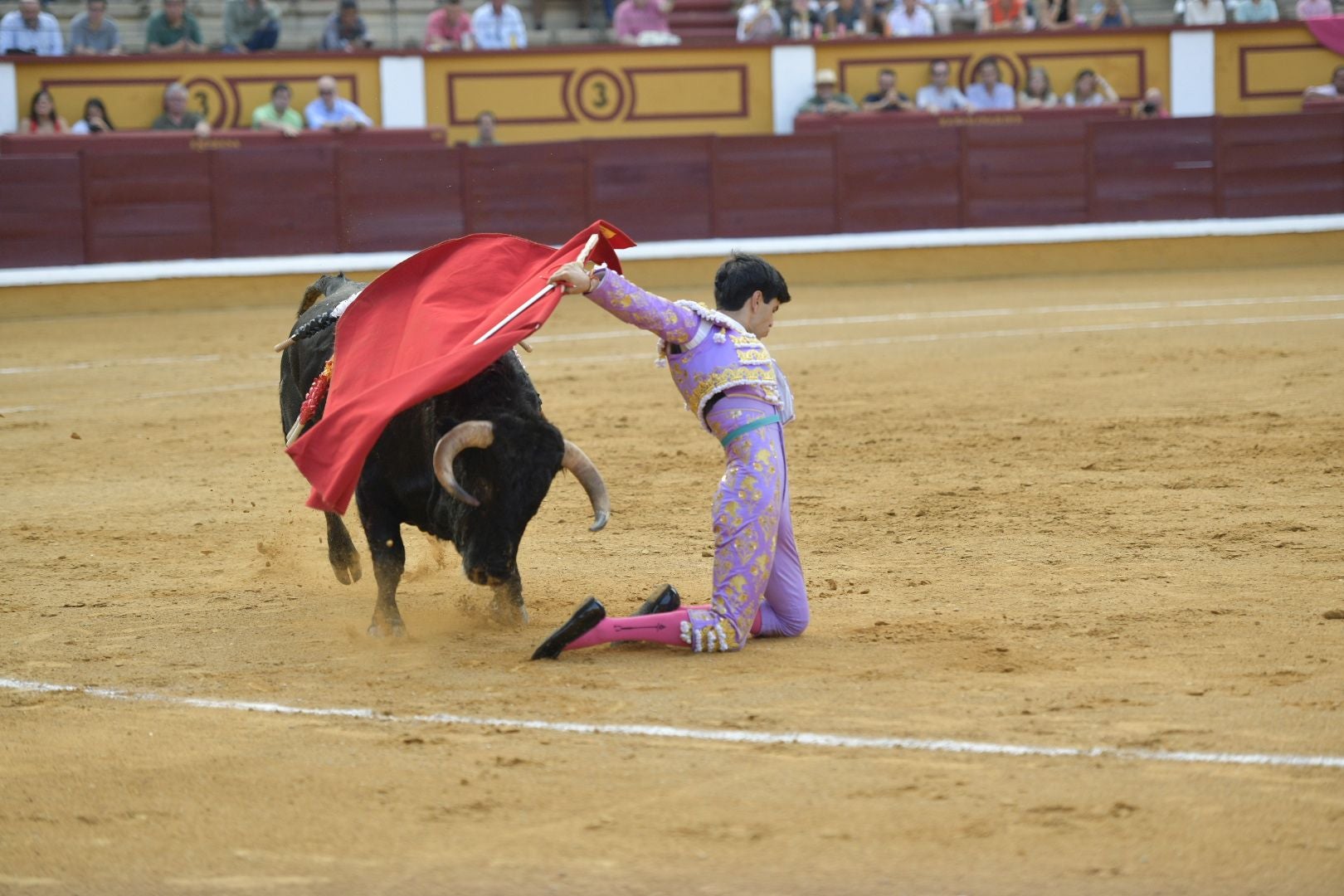 Imágenes de la novillada de la Feria de San Juan de Badajoz