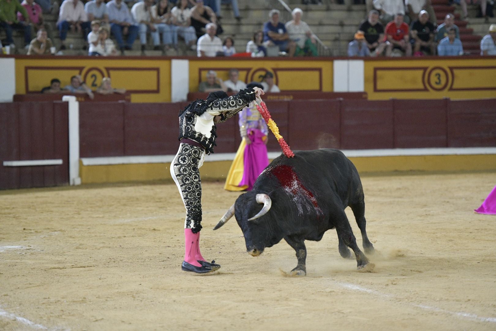 Imágenes de la novillada de la Feria de San Juan de Badajoz