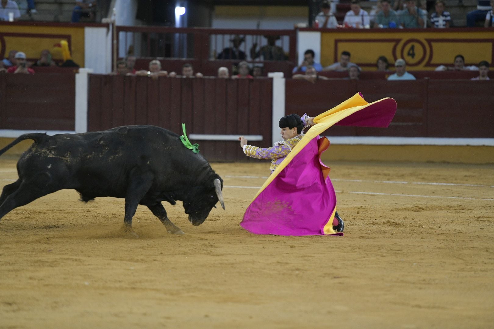 Imágenes de la novillada de la Feria de San Juan de Badajoz