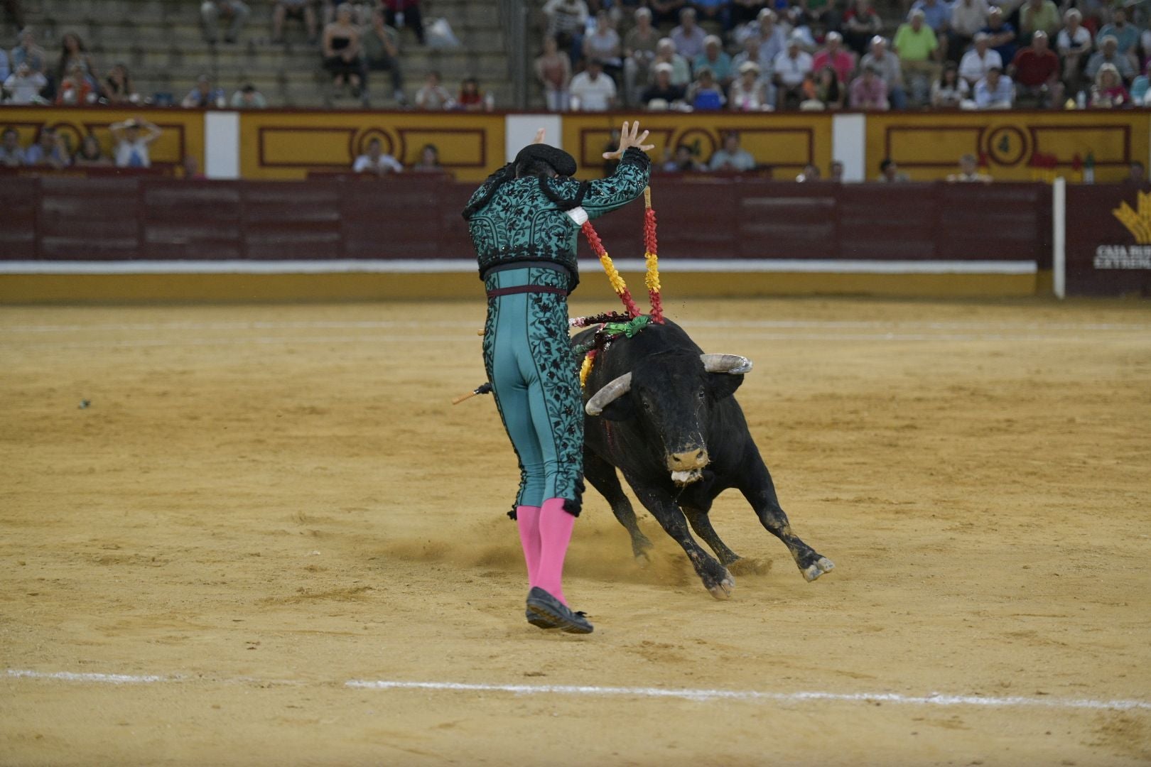 Imágenes de la novillada de la Feria de San Juan de Badajoz
