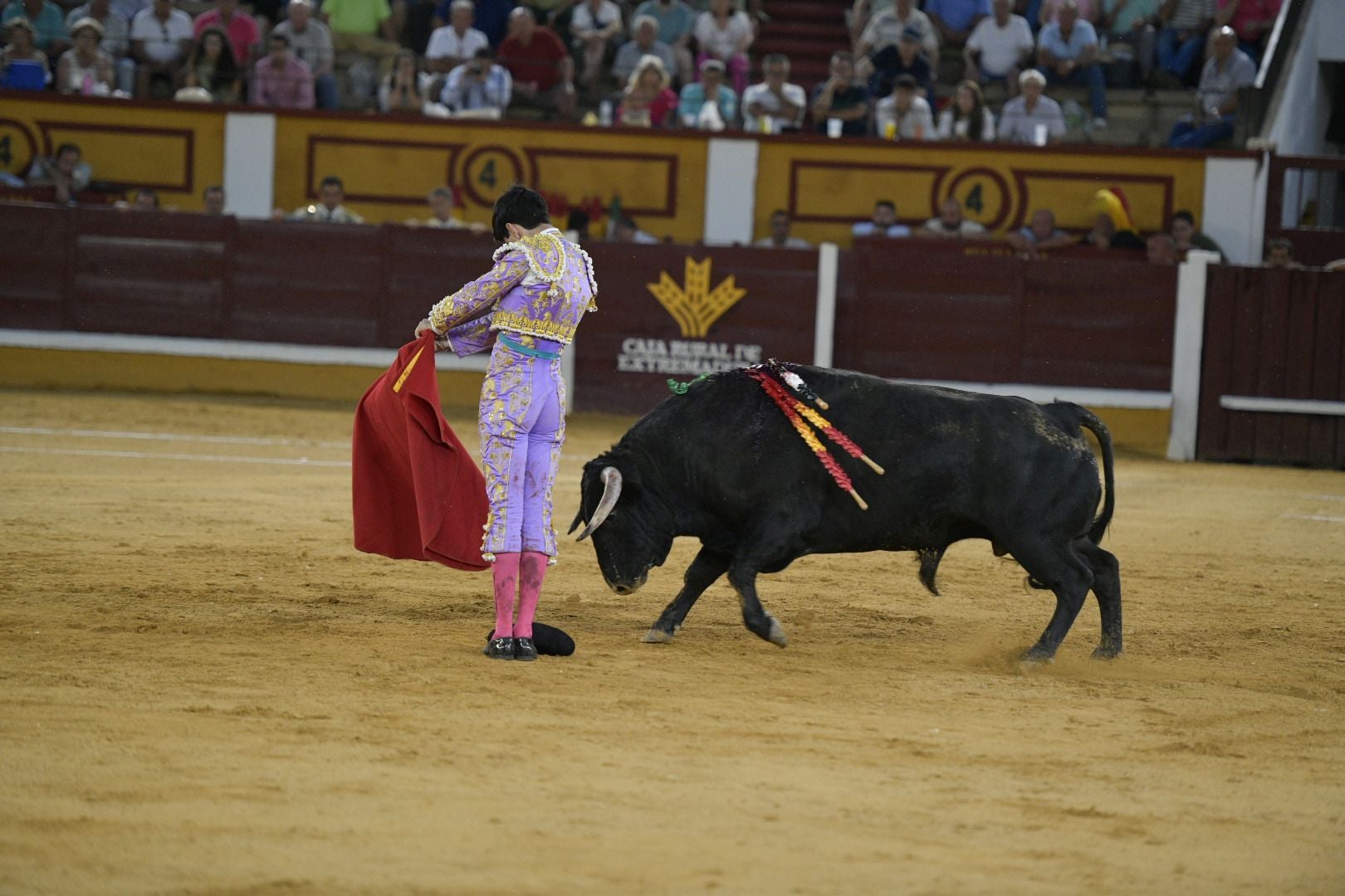 Imágenes de la novillada de la Feria de San Juan de Badajoz