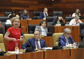 Mercedes Vaquera, en la Asamblea, responde al diputado placentino Álvaro Sánchez-Ocaña.
