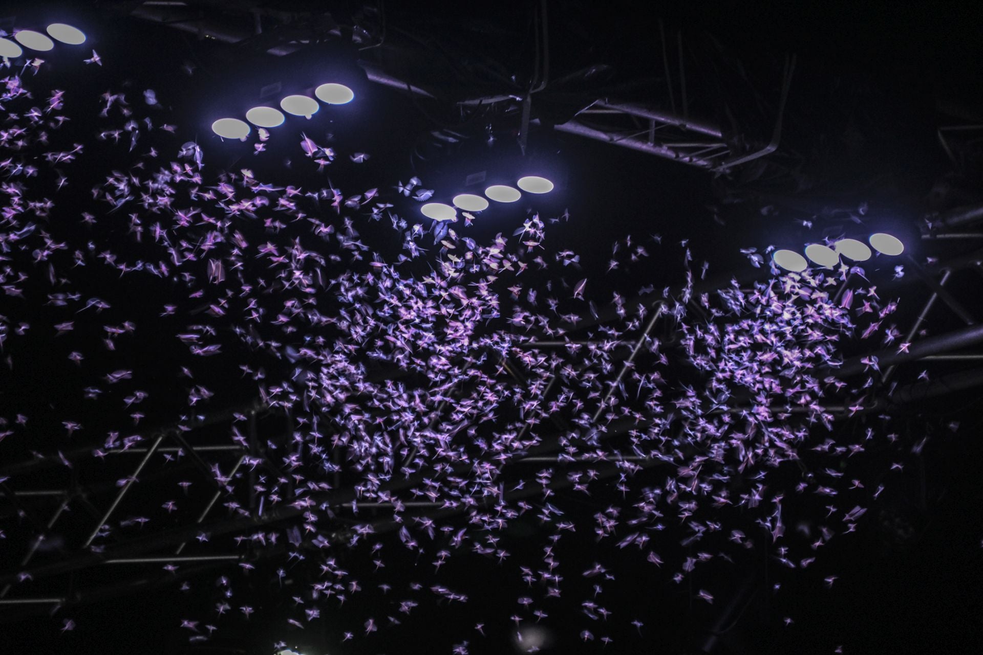Así fueron los fuegos artificiales de la Feria de San Juan de Badajoz