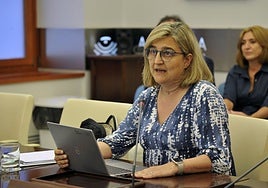 Esther Muñoz, directora general de Universidad de la Junta, en su comparecencia en la Asamblea.