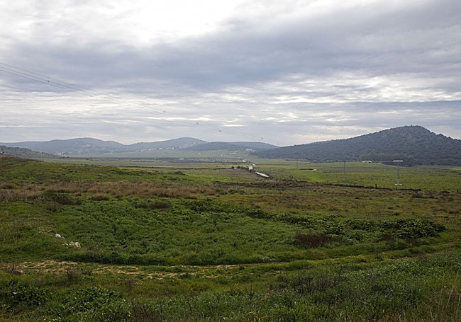Zona elegida en 2023 para implantar el Gran Buda.