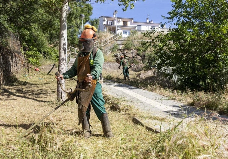 Plasencia refuerza el desbroce con un nuevo sistema de solicitud vecinal