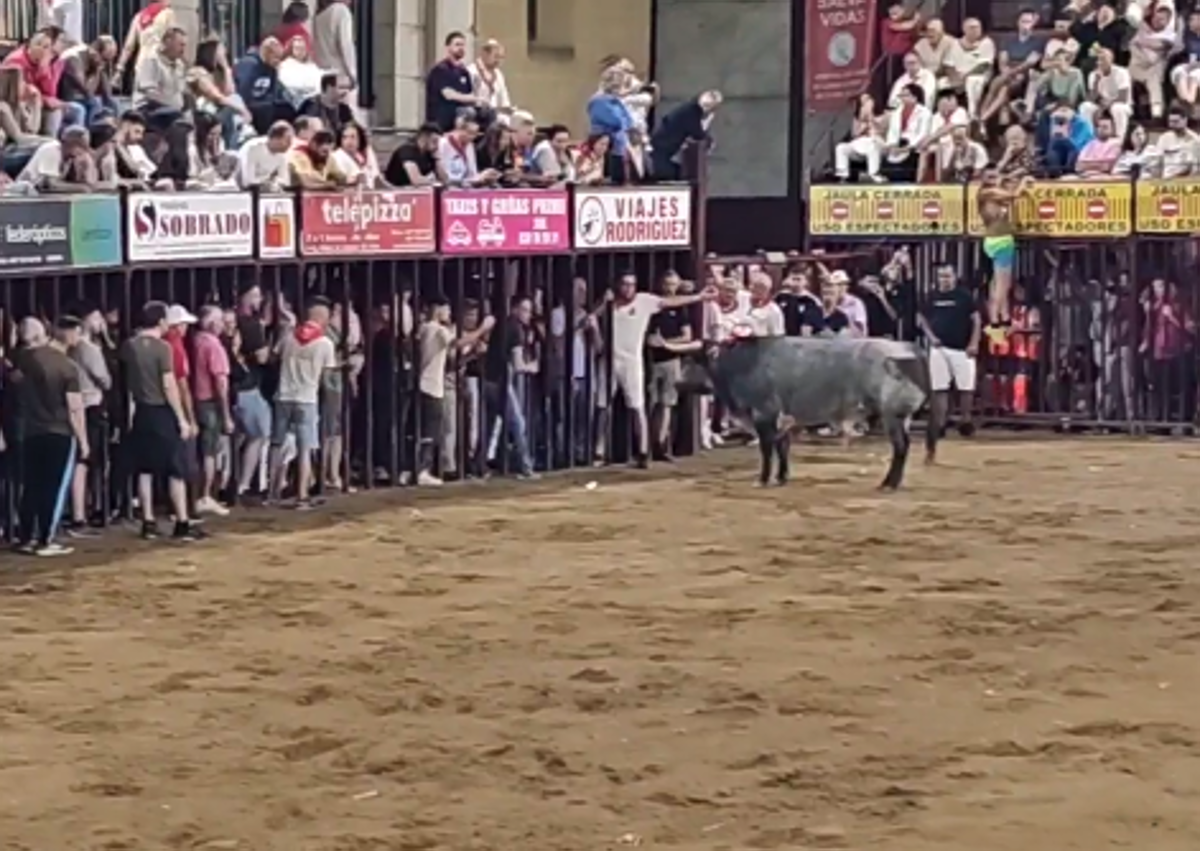 Imagen secundaria 1 - El toro protagonista de la madrugada fue 'Cartuchero' de la ganadería Ana Romero