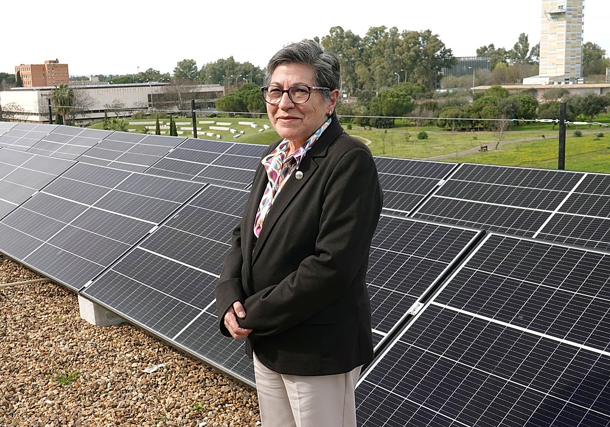Imagen de archivo de Vicenta Gómez, decana del Colegio Oficial de Ingenieros Técnicos Industriales de Badajoz.
