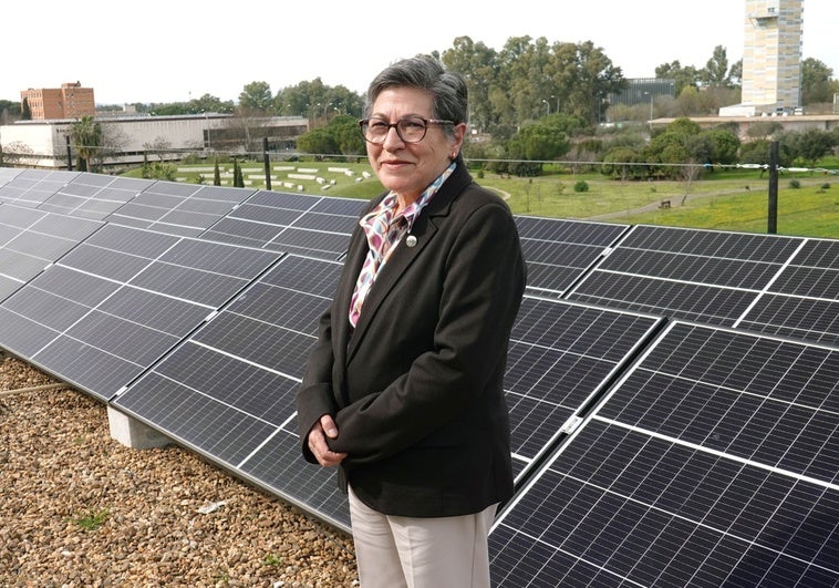 «Con el Plan Bolonia la universidad empezó a diseñar títulos para tener más alumnos»