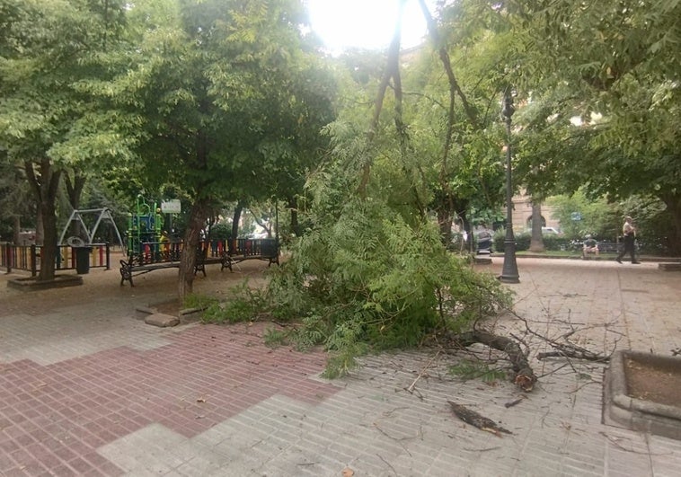 Los bomberos de Cáceres atienden una treintena de incidencias por la tormenta