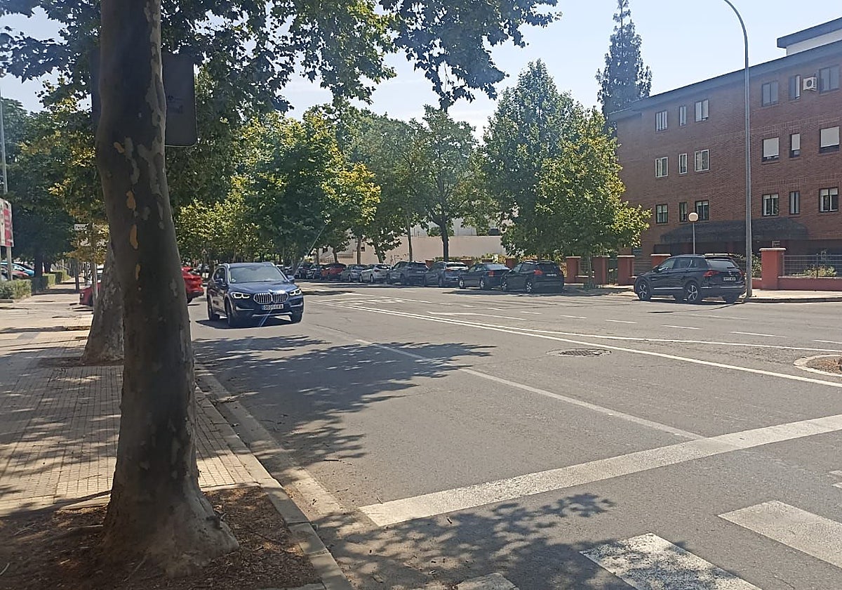 Zona de la avenida de la Hispanidad donde se produjo el atropello.