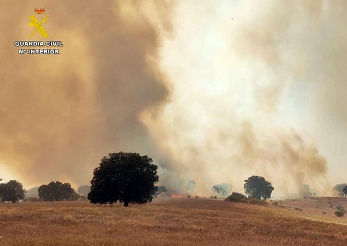 Imagen secundaria 1 - Incendio en Monterrubio del pasado 8 de junio.
