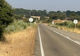 Curva al final de la carretera en la que ayer tuvo lugar el accidente mortal.