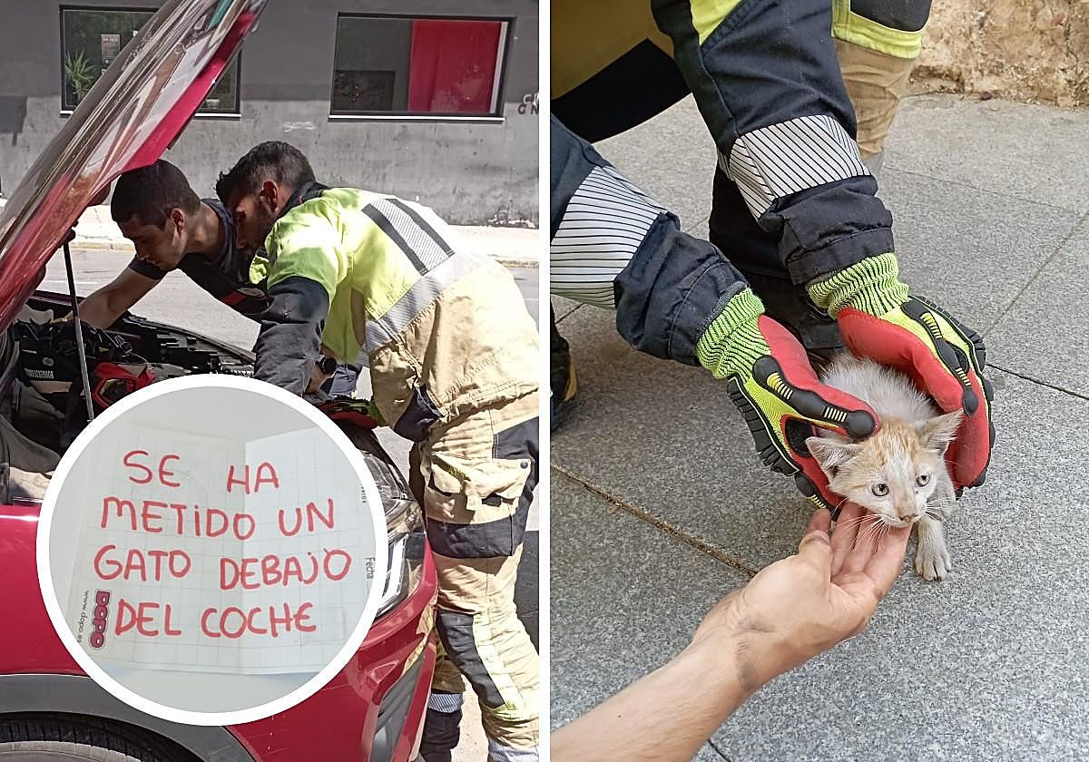 Momentos del rescate del gatito