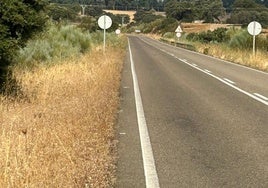 Curva al final de la carretera en la que Francisco perdió ayer la vida.