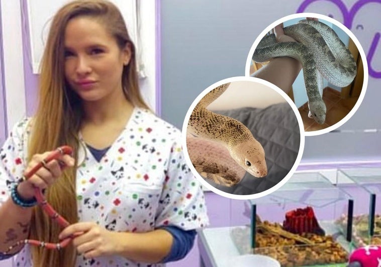 Vivir con serpientes: la joven de Cáceres que las tiene como mascotas