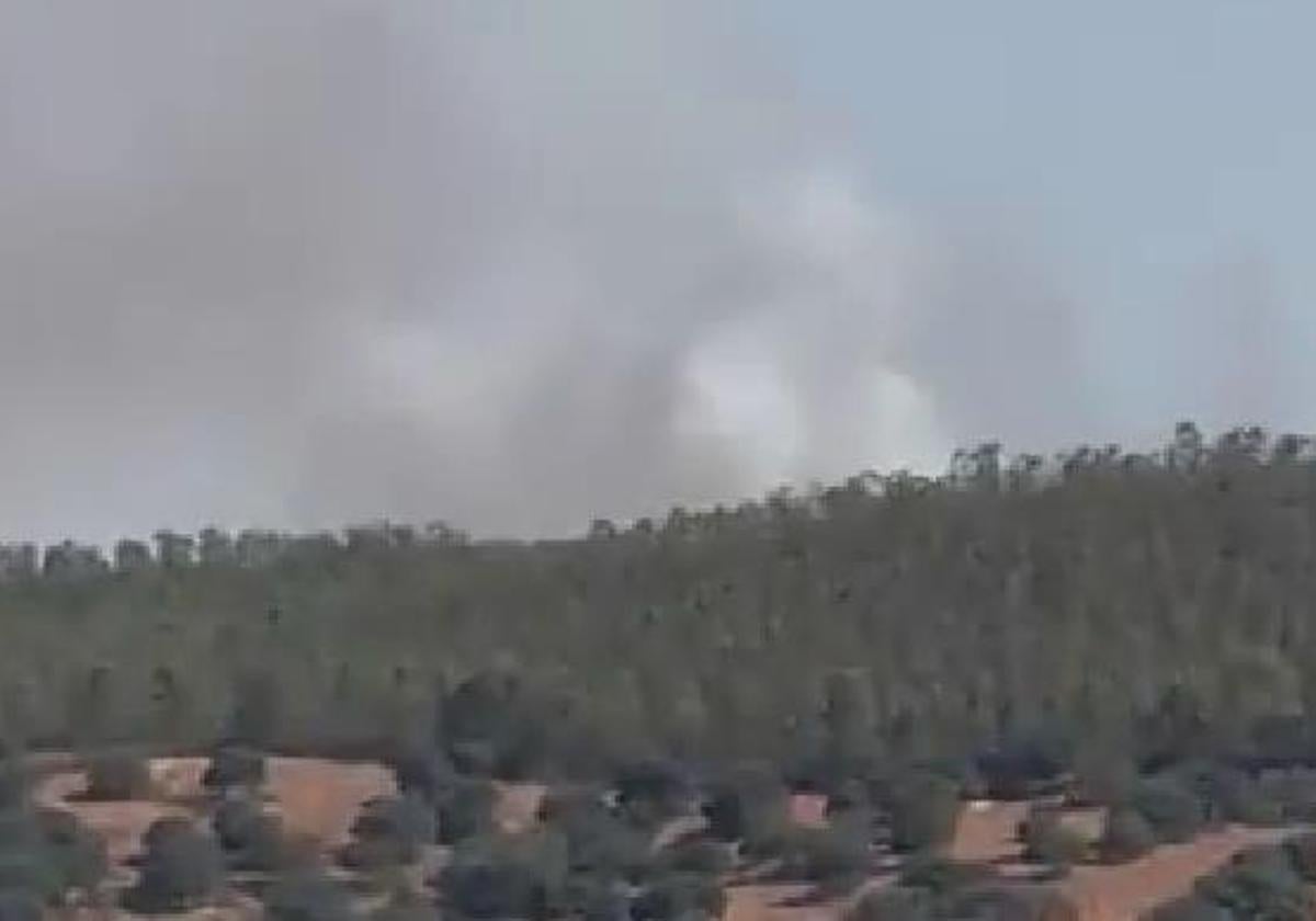 Imagen del humo por el incendio en Puebla de la Reina.