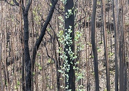 Imágen recogida en la exposición.