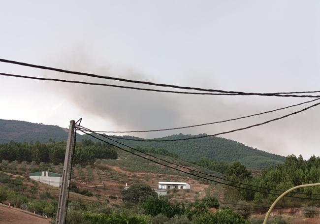 Columna de humo provocada por el incendio de este sábado.