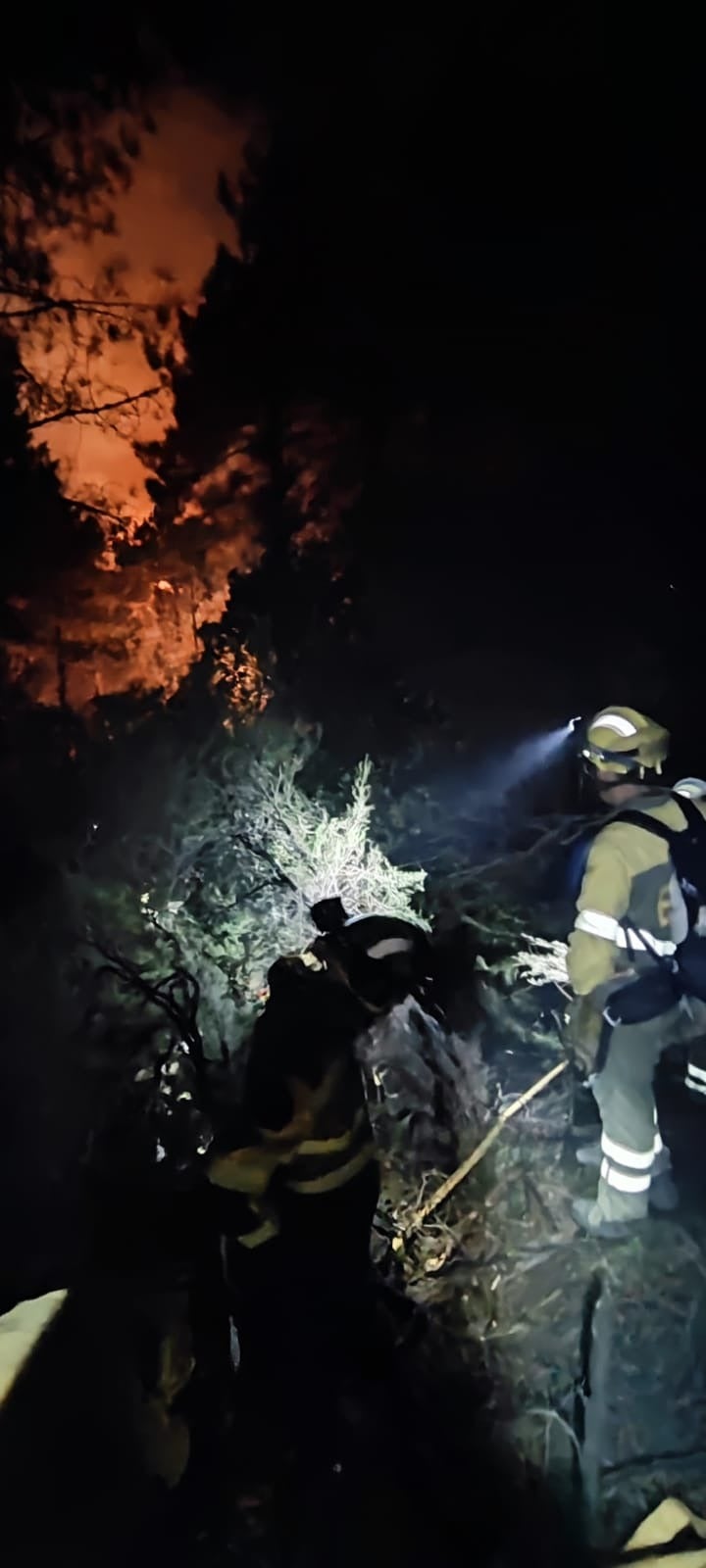 La brigada BRIF Pinofranqueado trabajaron durante toda la noche realizado linea negra empezada por la brigada presencial hasta una pasada de bulldozer. Primer tramo con apoyo y refresco de tendido de manguera del Plan Infoex.