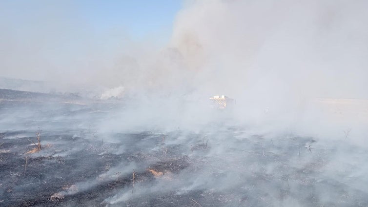 Incendio forestal en Torrequemada.
