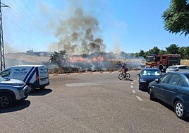 Nuevo incendio de pastos en el Cerro de San Miguel de Badajoz