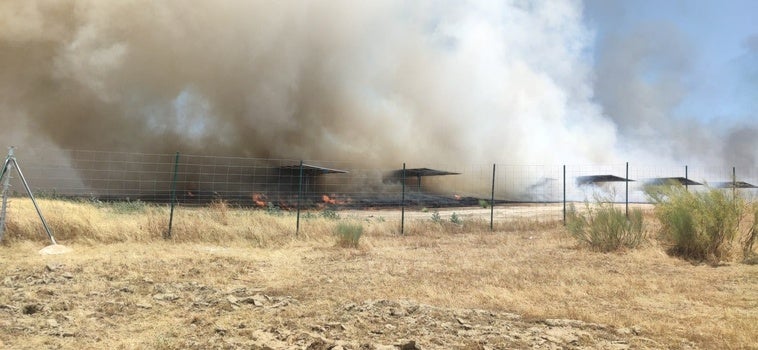 Extremadura sufre al menos seis incendios forestales este martes